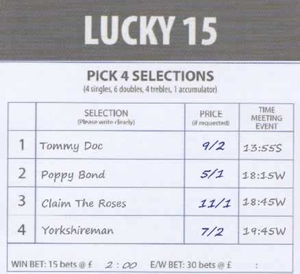 lucky 15 returns calculator